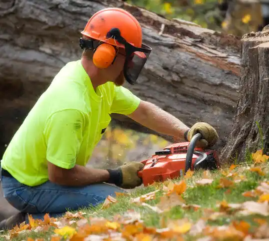 tree services Fisher